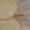 salbei